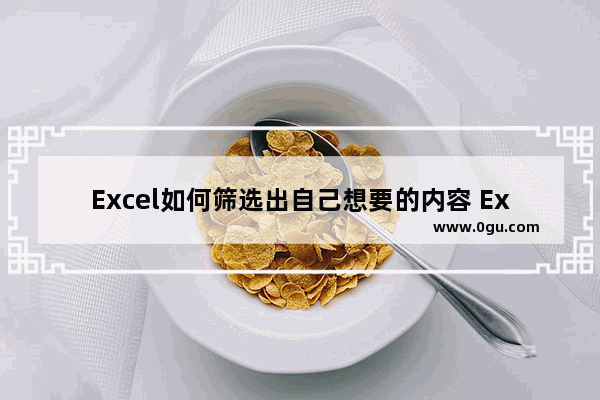 Excel如何筛选出自己想要的内容 Excel筛选出自己想要的内容的方法