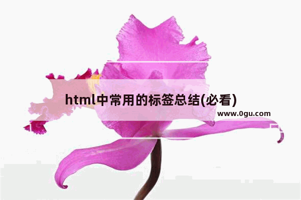 html中常用的标签总结(必看)