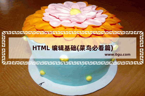 HTML 编辑基础(菜鸟必看篇)