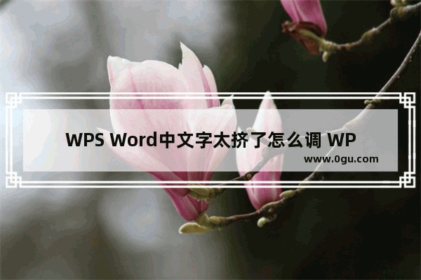 WPS Word中文字太挤了怎么调 WPS Word修改文字间距的方法