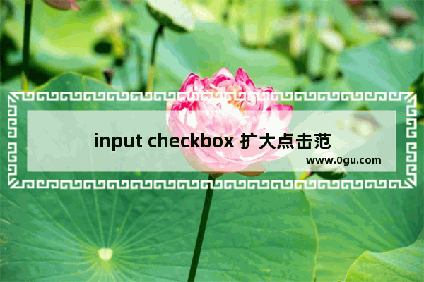 input checkbox 扩大点击范围的实现方法