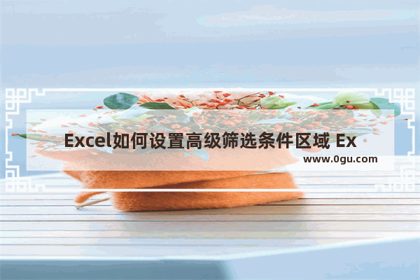 Excel如何设置高级筛选条件区域 Excel设置高级筛选条件区域的方法