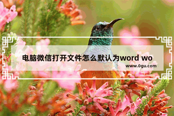 电脑微信打开文件怎么默认为word word设置为微信打开文件的默认应用方法