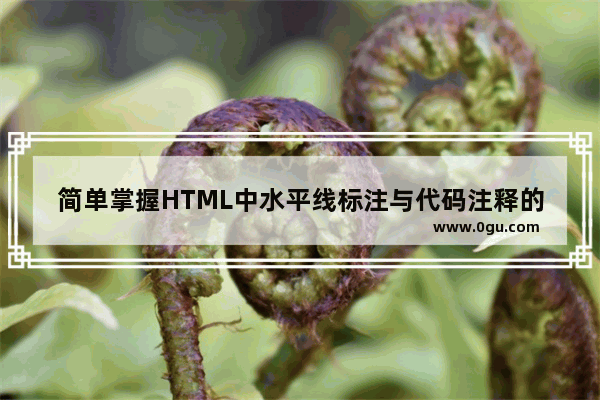 简单掌握HTML中水平线标注与代码注释的用法