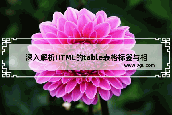 深入解析HTML的table表格标签与相关的换行问题