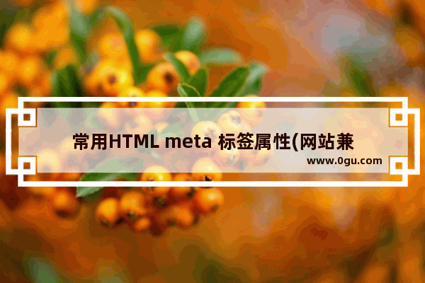 常用HTML meta 标签属性(网站兼容与优化需要)