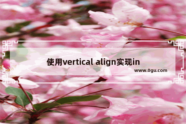 使用vertical align实现input和img对齐