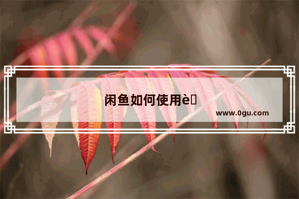 闲鱼如何使用蚂蚁花呗