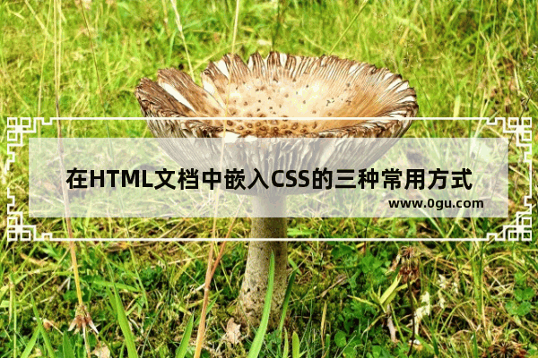 在HTML文档中嵌入CSS的三种常用方式