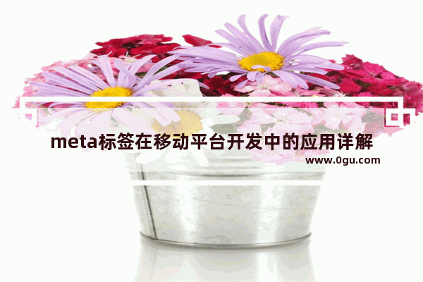 meta标签在移动平台开发中的应用详解