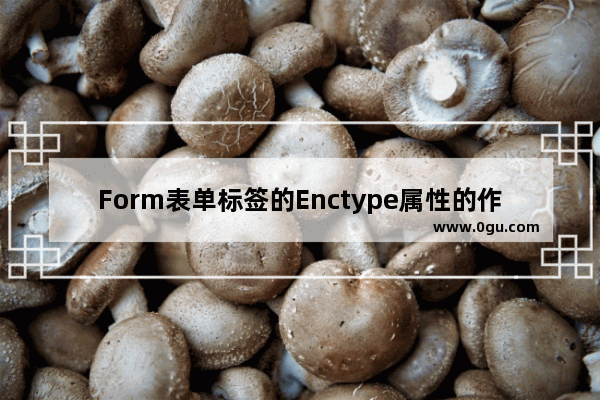 Form表单标签的Enctype属性的作用及应用示例介绍