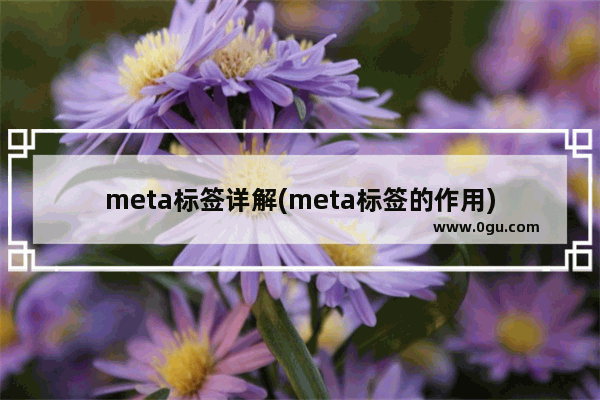 meta标签详解(meta标签的作用)