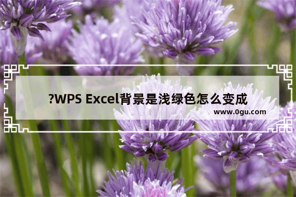 ?WPS Excel背景是浅绿色怎么变成白色 WPS表格背景颜色变为绿色后恢复白色的方法教程