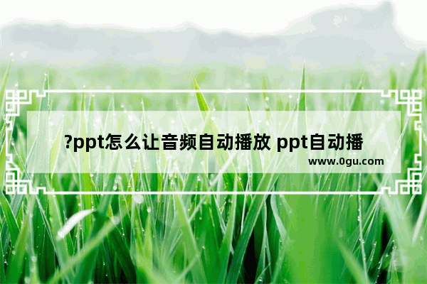 ?ppt怎么让音频自动播放 ppt自动播放音频的设置方法