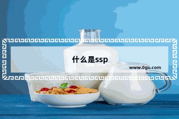 什么是ssp