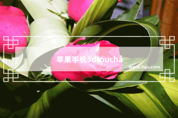 苹果手机3dtouch如何设置