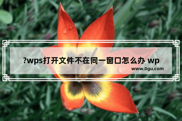 ?wps打开文件不在同一窗口怎么办 wps取消文件独立窗口显示的方法