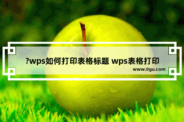 ?wps如何打印表格标题 wps表格打印标题的方法