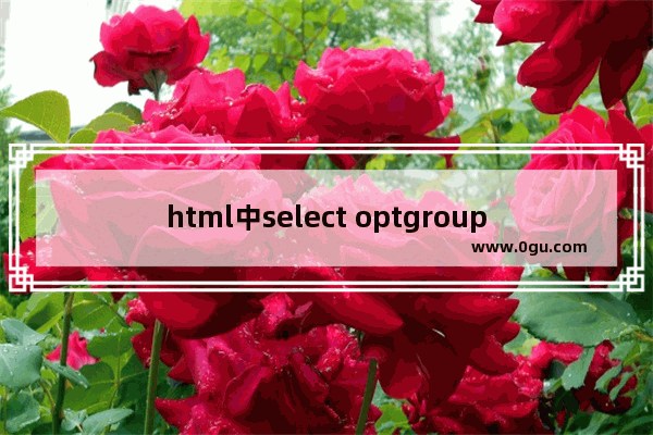 html中select optgroup标签使用介绍