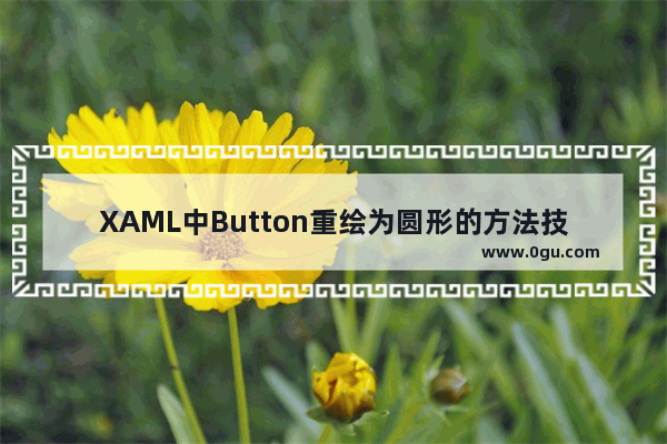 XAML中Button重绘为圆形的方法技巧