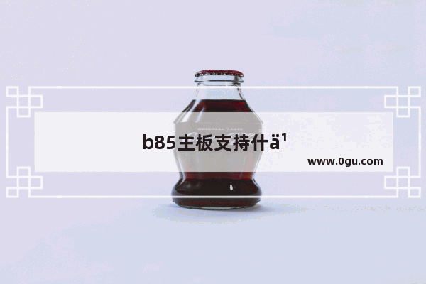 b85主板支持什么内存条