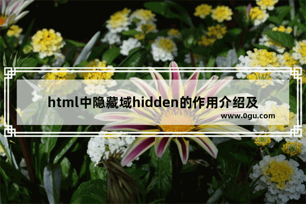 html中隐藏域hidden的作用介绍及使用示例