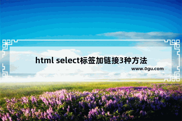 html select标签加链接3种方法