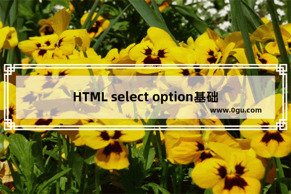 HTML select option基础理解及使用