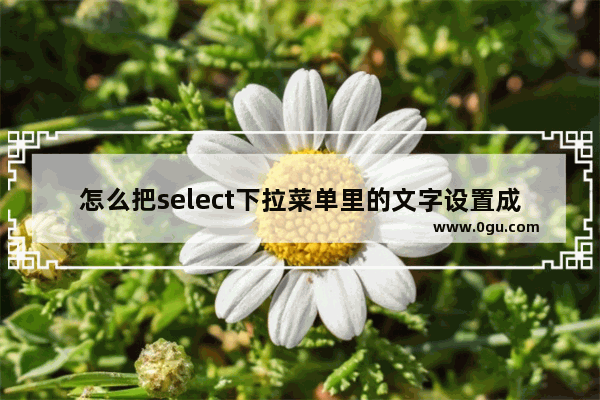 怎么把select下拉菜单里的文字设置成左右滚动效果