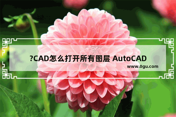 ?CAD怎么打开所有图层 AutoCAD中打开所有图层的方法教程