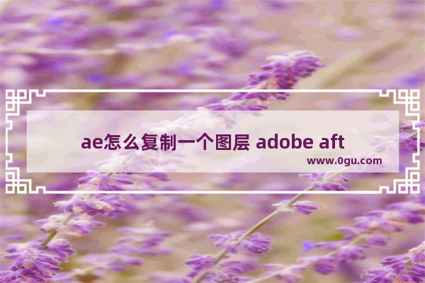 ae怎么复制一个图层 adobe after effects复制图层的方法