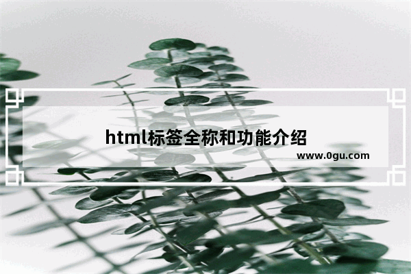 html标签全称和功能介绍