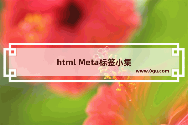 html Meta标签小集