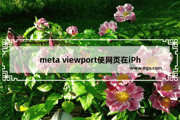 meta viewport使网页在iPhone中满屏显示控制