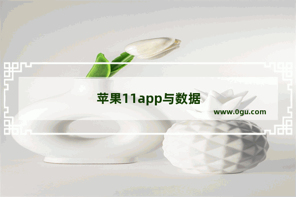 苹果11app与数据怎么选择