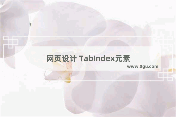 网页设计 TabIndex元素