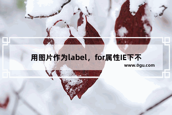 用图片作为label，for属性IE下不起作用