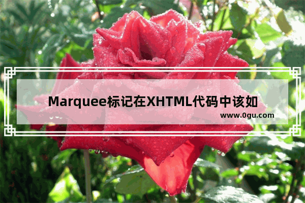 Marquee标记在XHTML代码中该如何用