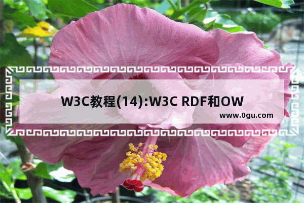 W3C教程(14):W3C RDF和OWL活动