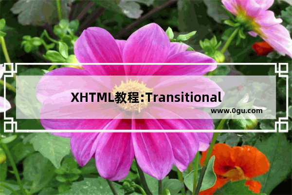 XHTML教程:Transitional和Strict的区别