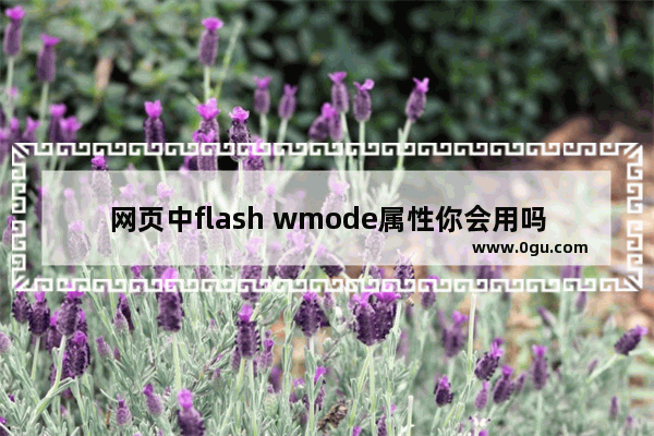 网页中flash wmode属性你会用吗？