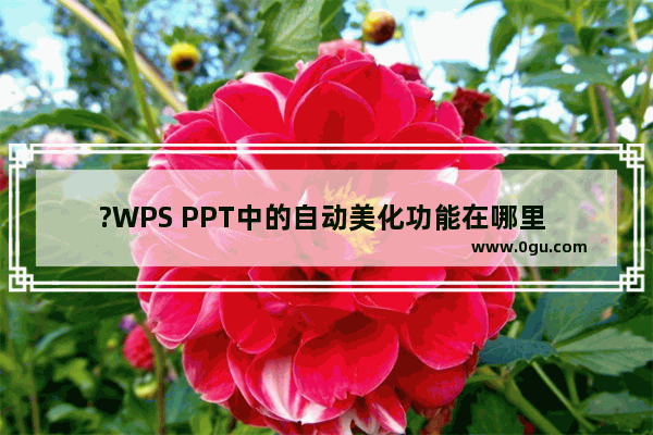 ?WPS PPT中的自动美化功能在哪里 WPS演示文稿中使用智能美化功能一键美化的方法教程