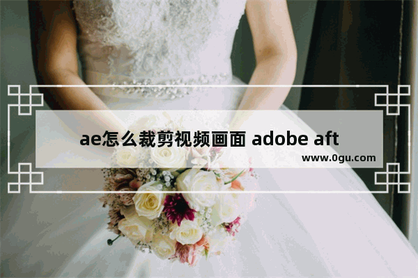 ae怎么裁剪视频画面 adobe after effects裁剪视频画面大小的方法