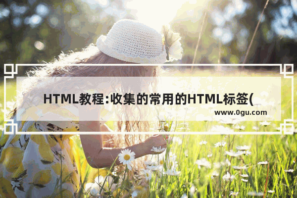 HTML教程:收集的常用的HTML标签(6)