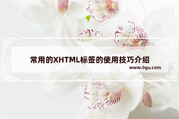 常用的XHTML标签的使用技巧介绍