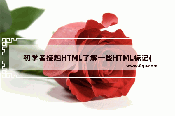 初学者接触HTML了解一些HTML标记(2)