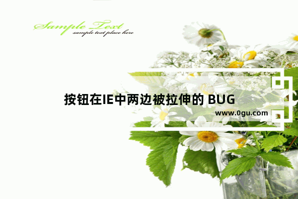 按钮在IE中两边被拉伸的 BUG