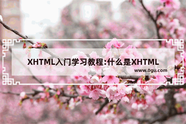 XHTML入门学习教程:什么是XHTML?