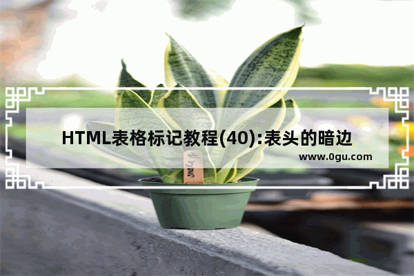 HTML表格标记教程(40):表头的暗边框色属性BORDERCOLORDARK