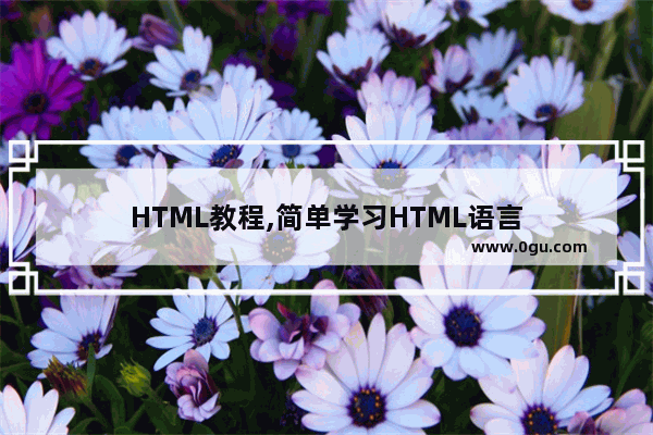 HTML教程,简单学习HTML语言